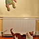 Image for article titled Shooting Challenge: Levitation, Gallery 1